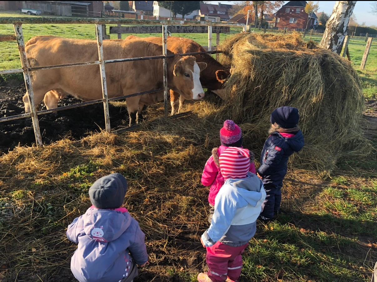 Kinder bei Kühen auf der Weide